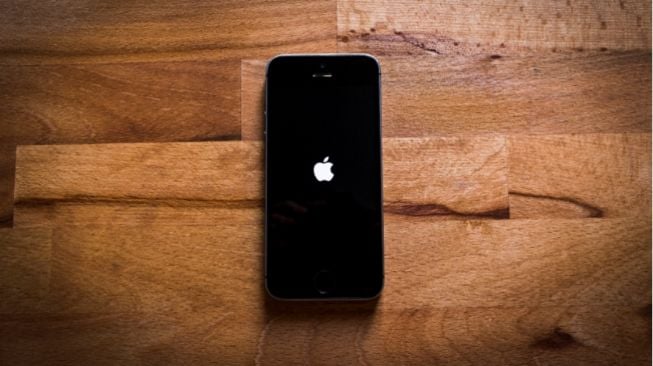 Cara Memperbaiki iPhone yang digunakan Stuck di tempat tempat Logo Apple
