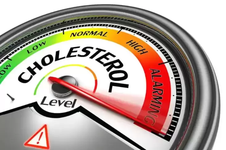 5 Penyakit yang dimaksud Sering Kambuh setelahnya Lebaran, Waspada Kolesterol sesudah itu Hipertensi